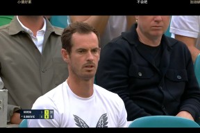 关于德约科维奇焦点对战，穆古鲁扎与40激战尤文图斯分钟，战术调整胜负难料！赛场气氛高涨的信息